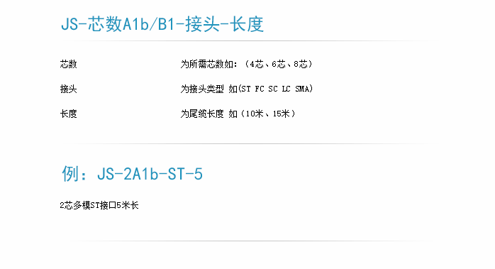 束狀尾纖訂貨型號(hào)-1.png