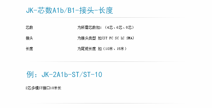 鎧裝光纖跳線訂貨型號-1.png
